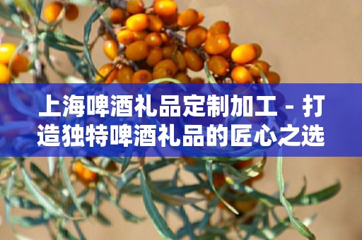 上海啤酒礼品定制加工 - 打造独特啤酒礼品的匠心之选