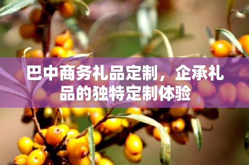 巴中商务礼品定制，企承礼品的独特定制体验