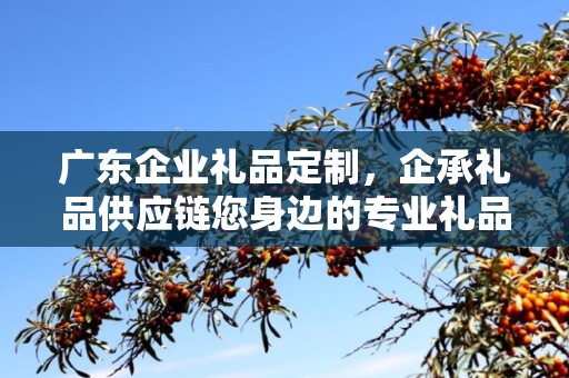 广东企业礼品定制，企承礼品供应链您身边的专业礼品定制公司