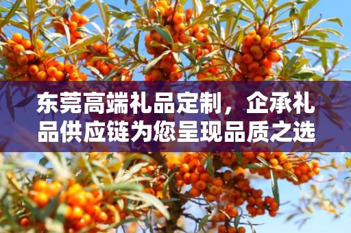 东莞高端礼品定制，企承礼品供应链为您呈现品质之选