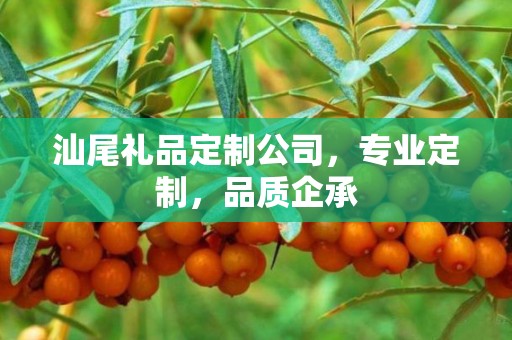 汕尾礼品定制公司，专业定制，品质企承