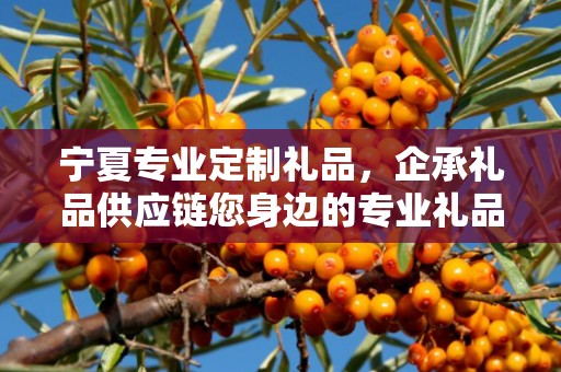 宁夏专业定制礼品，企承礼品供应链您身边的专业礼品定制公司