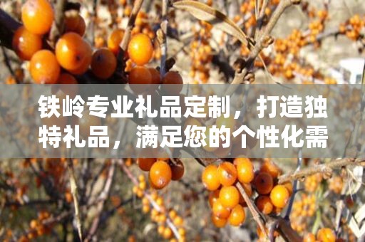 铁岭专业礼品定制，打造独特礼品，满足您的个性化需求
