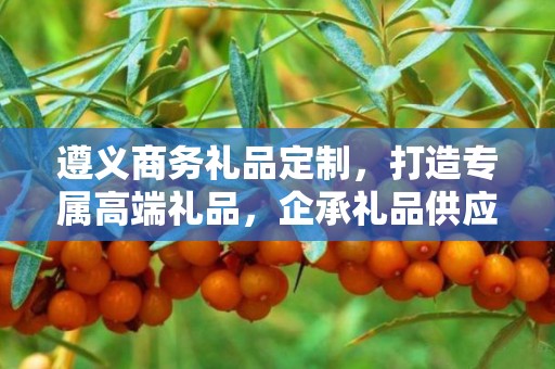 遵义商务礼品定制，打造专属高端礼品，企承礼品供应链引领商务新风尚