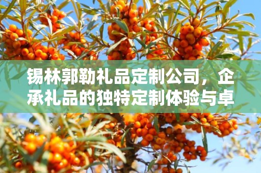 锡林郭勒礼品定制公司，企承礼品的独特定制体验与卓越供应链优势