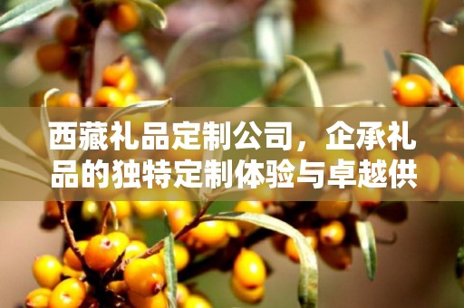 西藏礼品定制公司，企承礼品的独特定制体验与卓越供应链优势