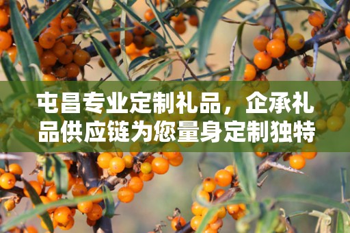 屯昌专业定制礼品，企承礼品供应链为您量身定制独特礼品