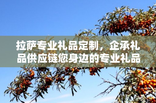 拉萨专业礼品定制，企承礼品供应链您身边的专业礼品定制公司