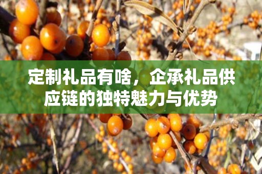定制礼品有啥，企承礼品供应链的独特魅力与优势