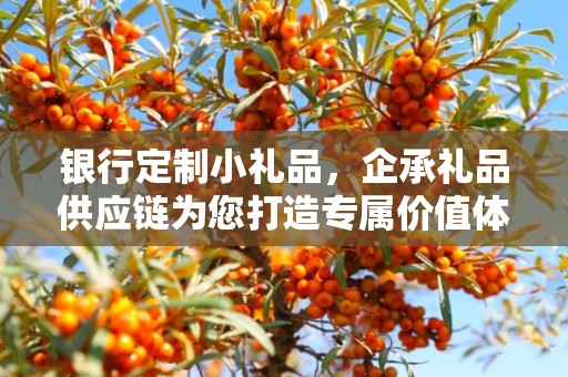 银行定制小礼品，企承礼品供应链为您打造专属价值体验