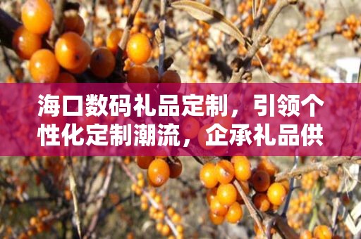 海口数码礼品定制，引领个性化定制潮流，企承礼品供应链助力商务礼品新体验